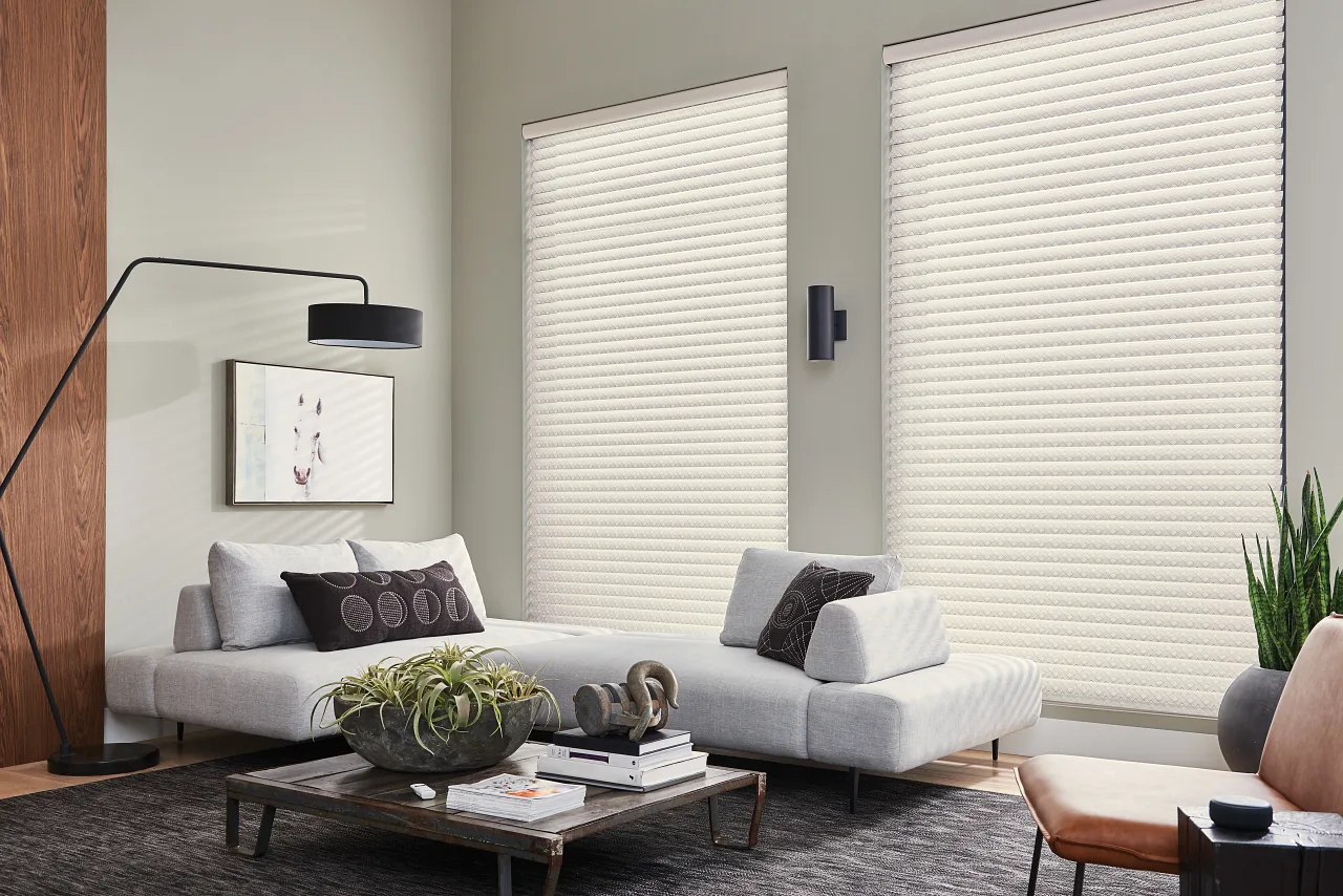 Window shades in a modern South Jordan living room